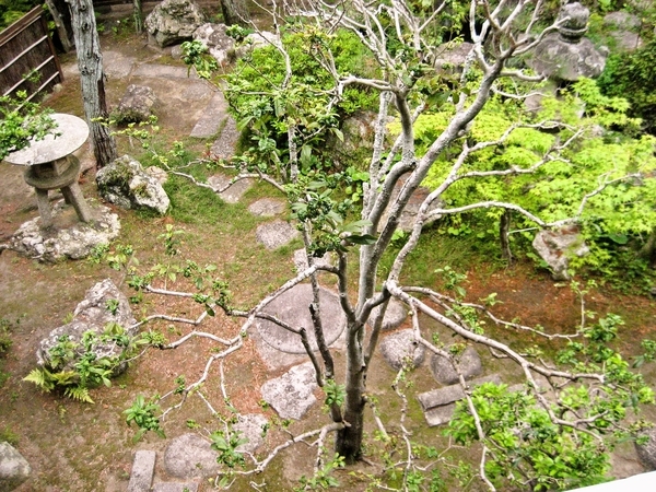 ４，伊勢海老生き造りと鮑が付き、伊勢志摩産魚介類の、夜５０種、朝２０種の満足バイキングプラン