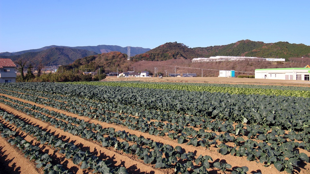 【朝食付】野菜中心！田舎の朝ごはん！新鮮キャベツはお替わり自由★