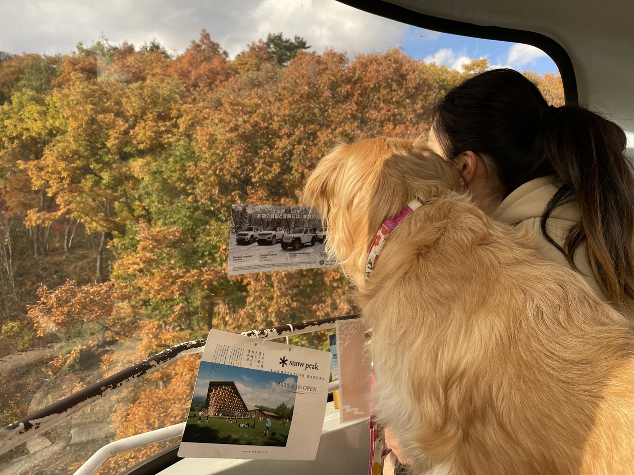 色鮮やかな紅葉を愛犬と満喫しよう♪☆☆地場野菜と山の恵みで織りなす絶品創作料理でおもてなし☆☆