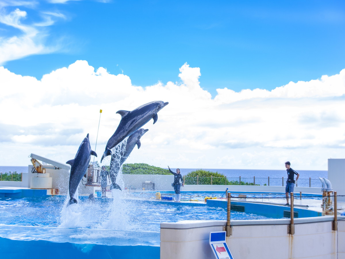 【美ら海水族館オキちゃん劇場】