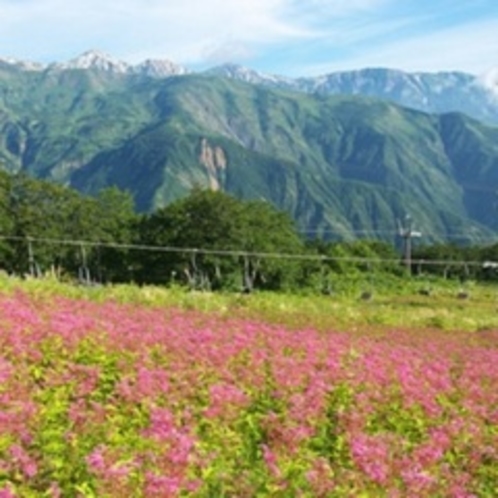 植物園