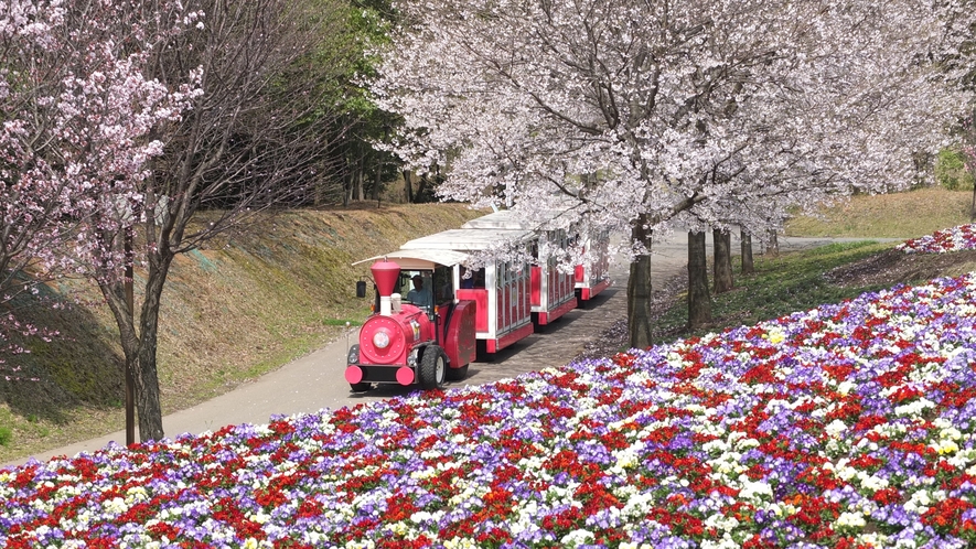 ◆とっとり花回廊[4月]