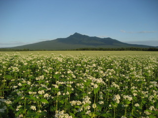 そば斜里岳