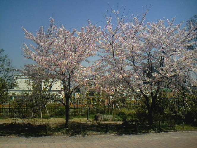 梅小路公園