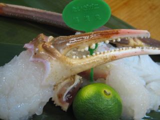 蟹さしみ、タグ付き