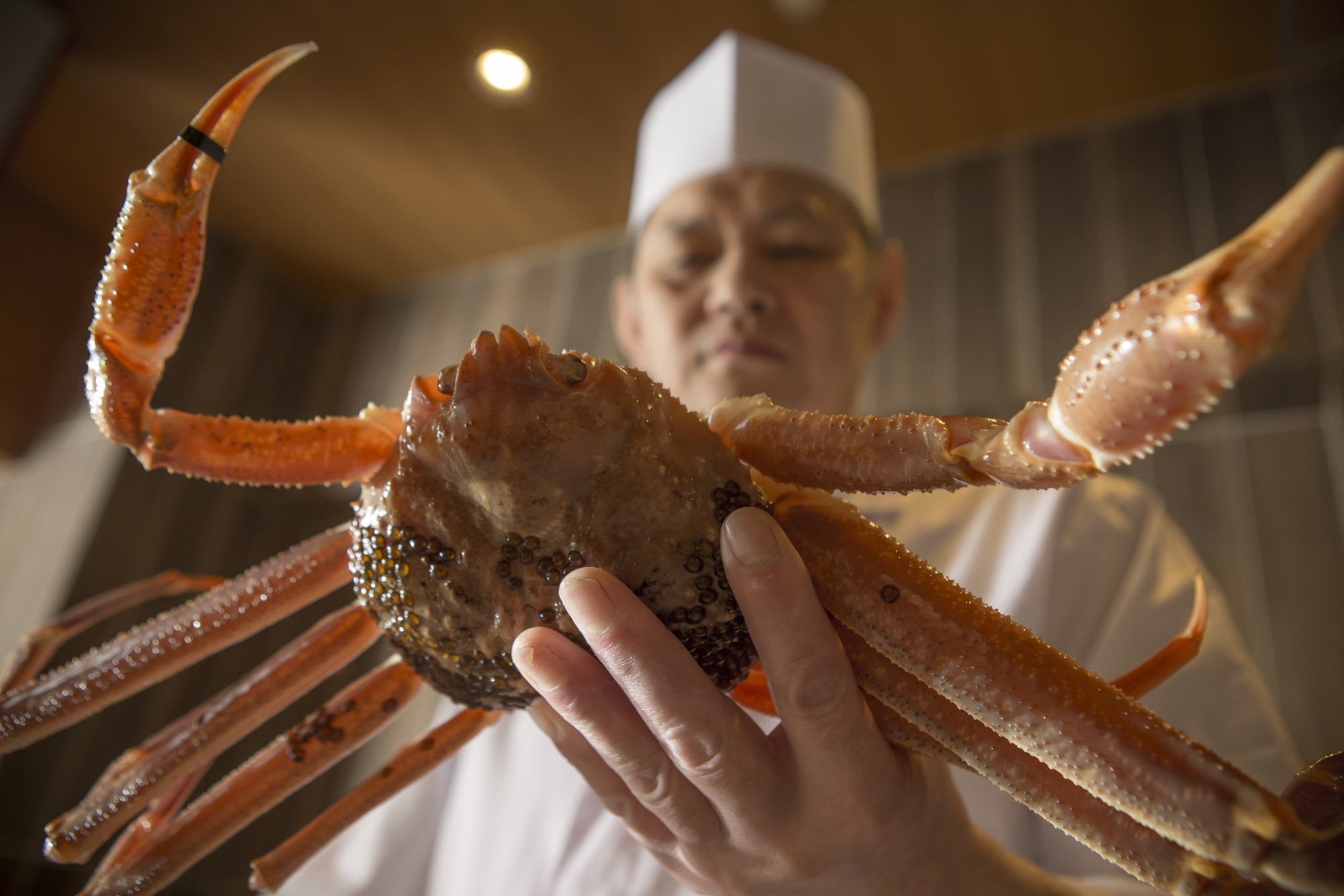 ＜美味少量＞蟹料理のルーツを味わう『間人の伝統活がに料理：梅（茹で蟹無し）』※間人蟹ではございません