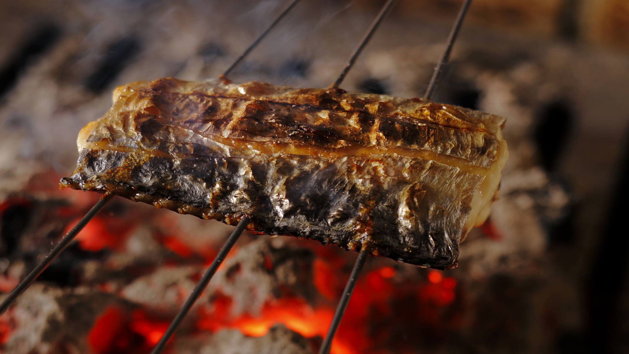 一品料理イメージ