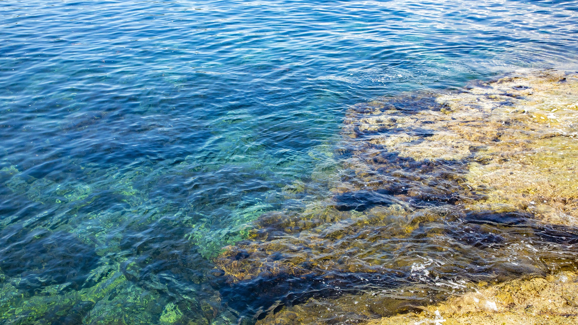 「孤島の隠れ家ー城島別邸」周辺の景色