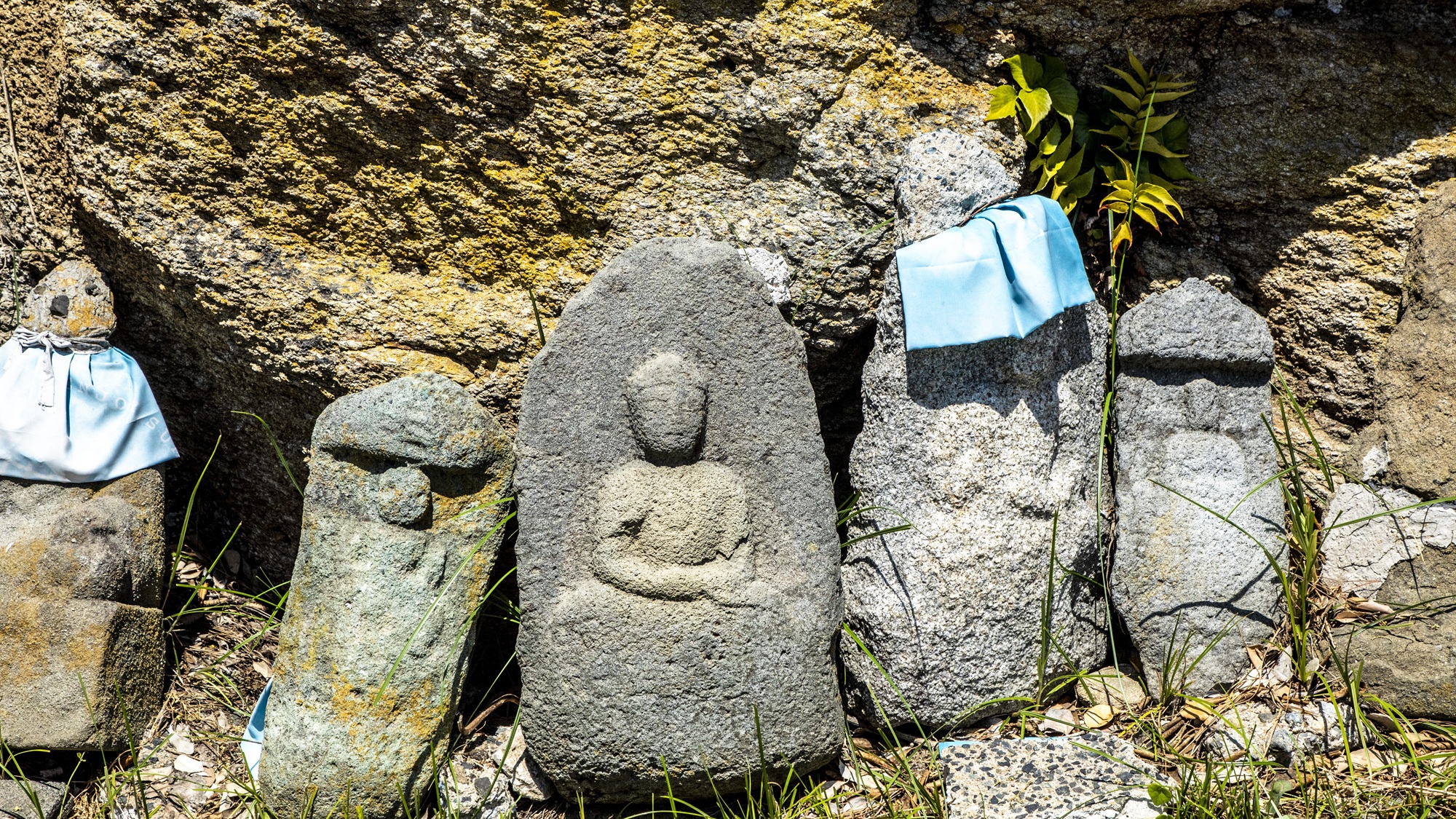「孤島の隠れ家ー城島別邸」周辺の景色