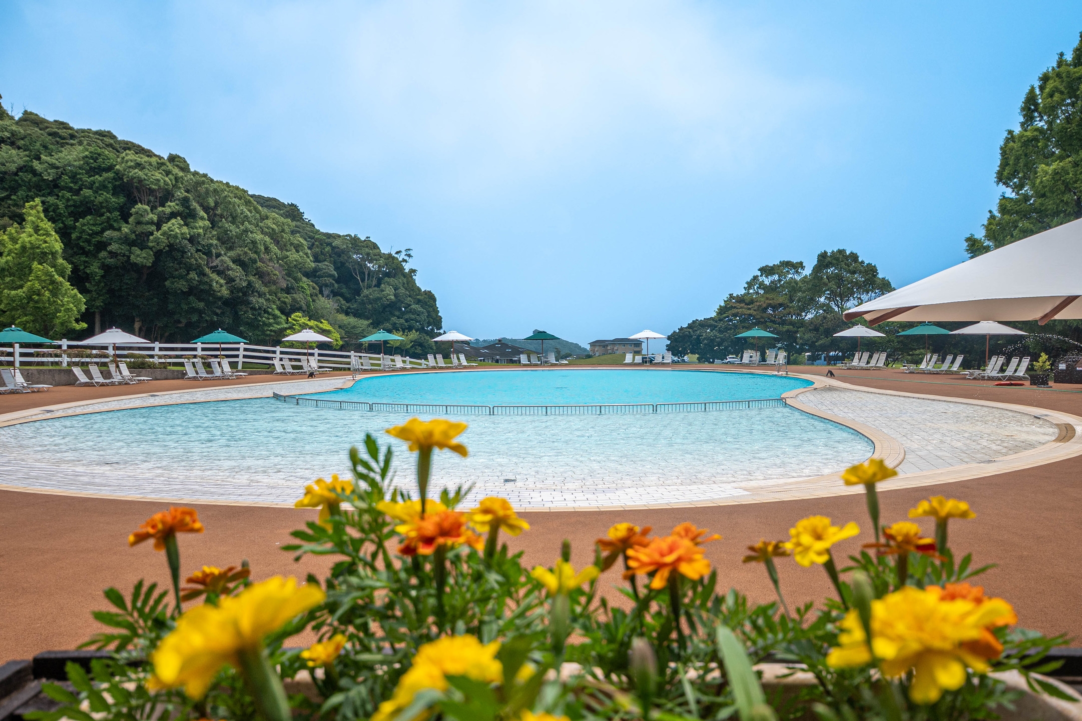 避暑地で過ごす夏休み〜ブルーベリーヒル勝浦納涼プラン〜