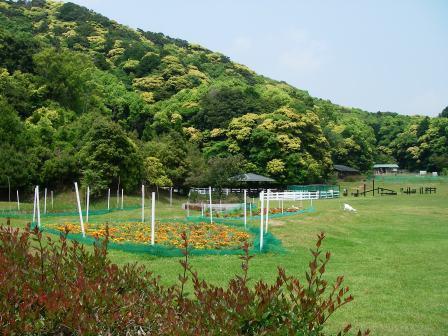 ◆期間限定◆母の日プラン