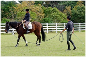 馬のエサやり体験プラン