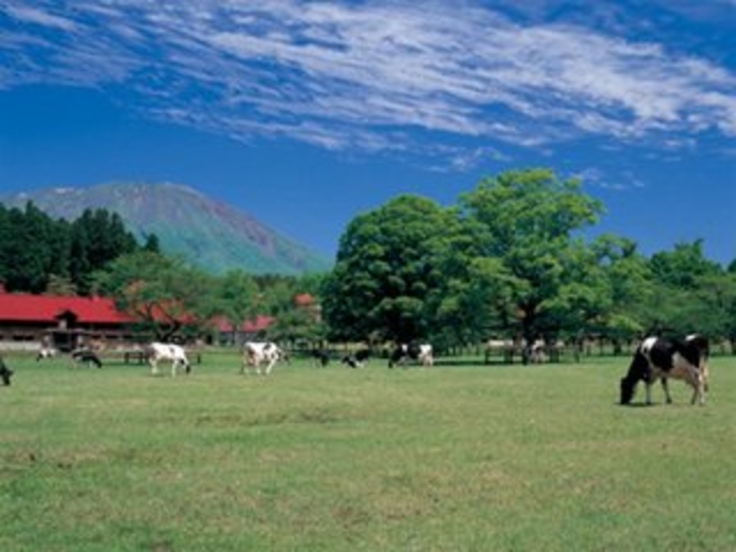 夏の小岩井農場１