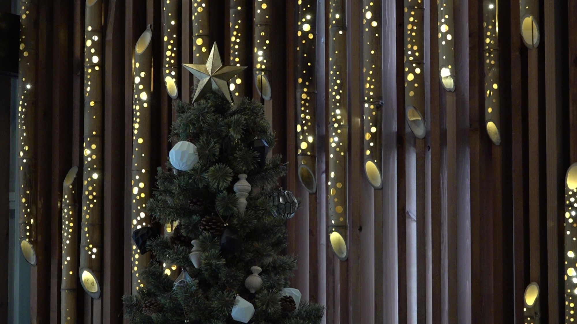 【クリスマス限定】木の温もりを感じるクリスマスツリーがお出迎え