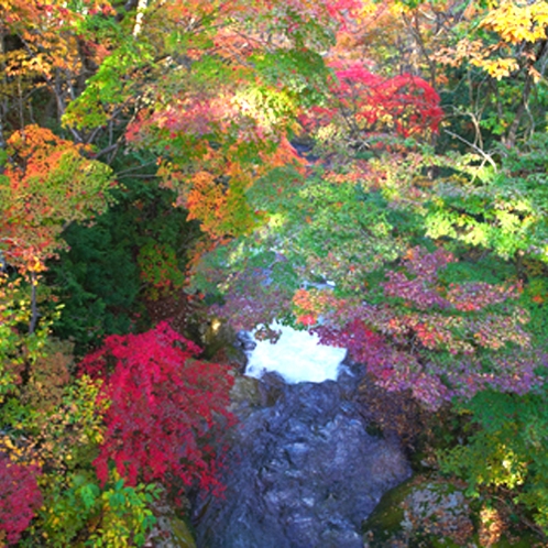 秋の夕滝