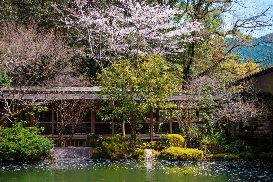 【+αの贅沢】伊勢海老姿造り×栄螺・鮑・車海老の炭火焼きの会席