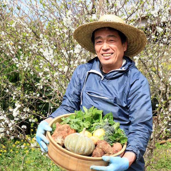 【農園の野菜たち】「珊瑚礁」農園では、数々の季節野菜が育ちます♪