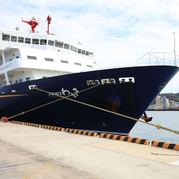 【西之表港】プリンセスわかさ