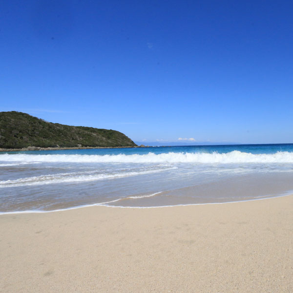 種子島の海で癒されませんか？