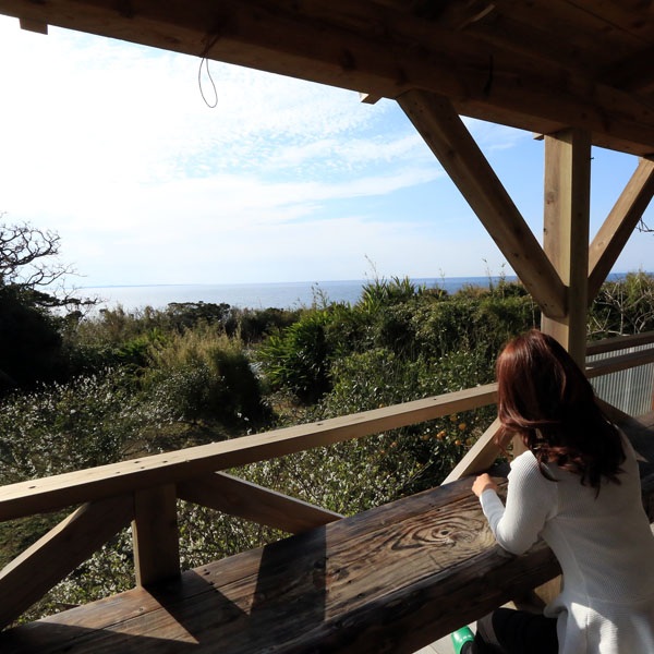 【デッキからの眺め】のんびり島時間を楽しんでください。