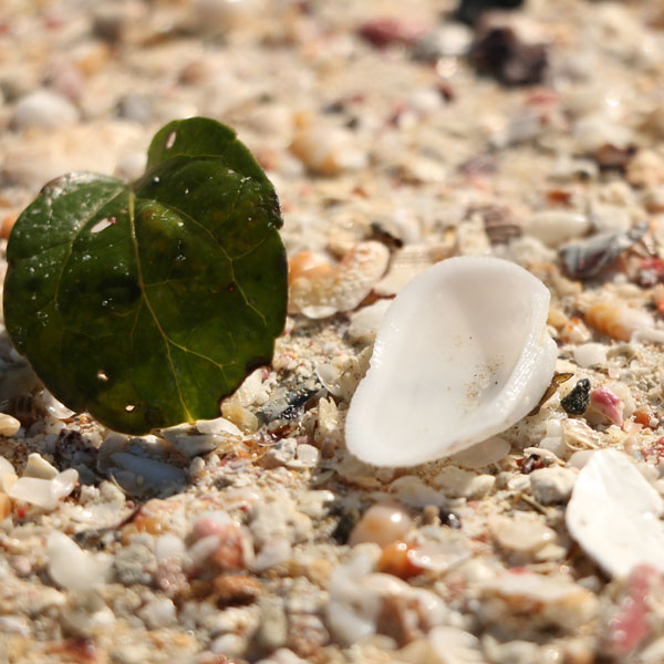 【浦田海水浴場】宿から北へ車で約15分！美しい景色が広がります☆