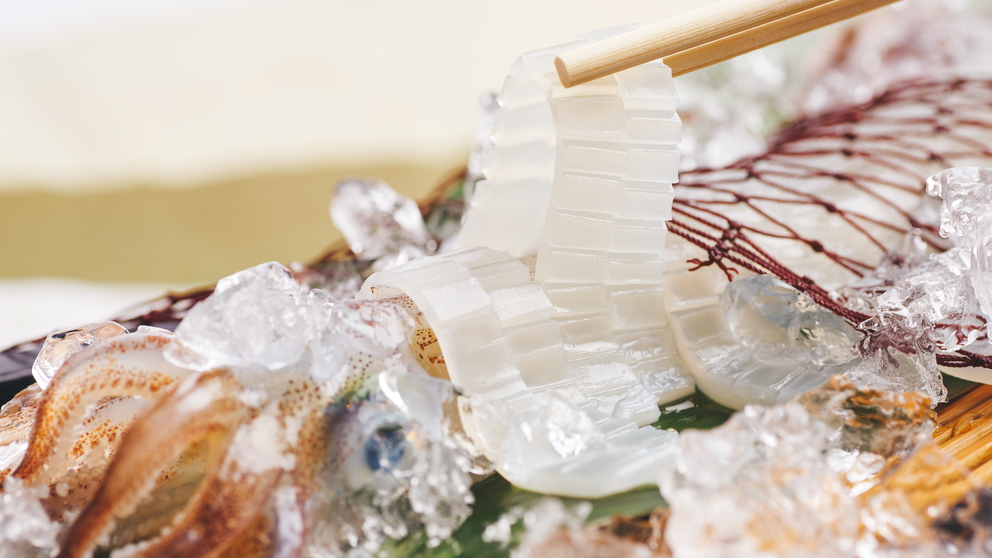 【日帰り昼食】夏の活イカ活け造りプラン　〜旬の白イカを活きているまま目の前に！〜