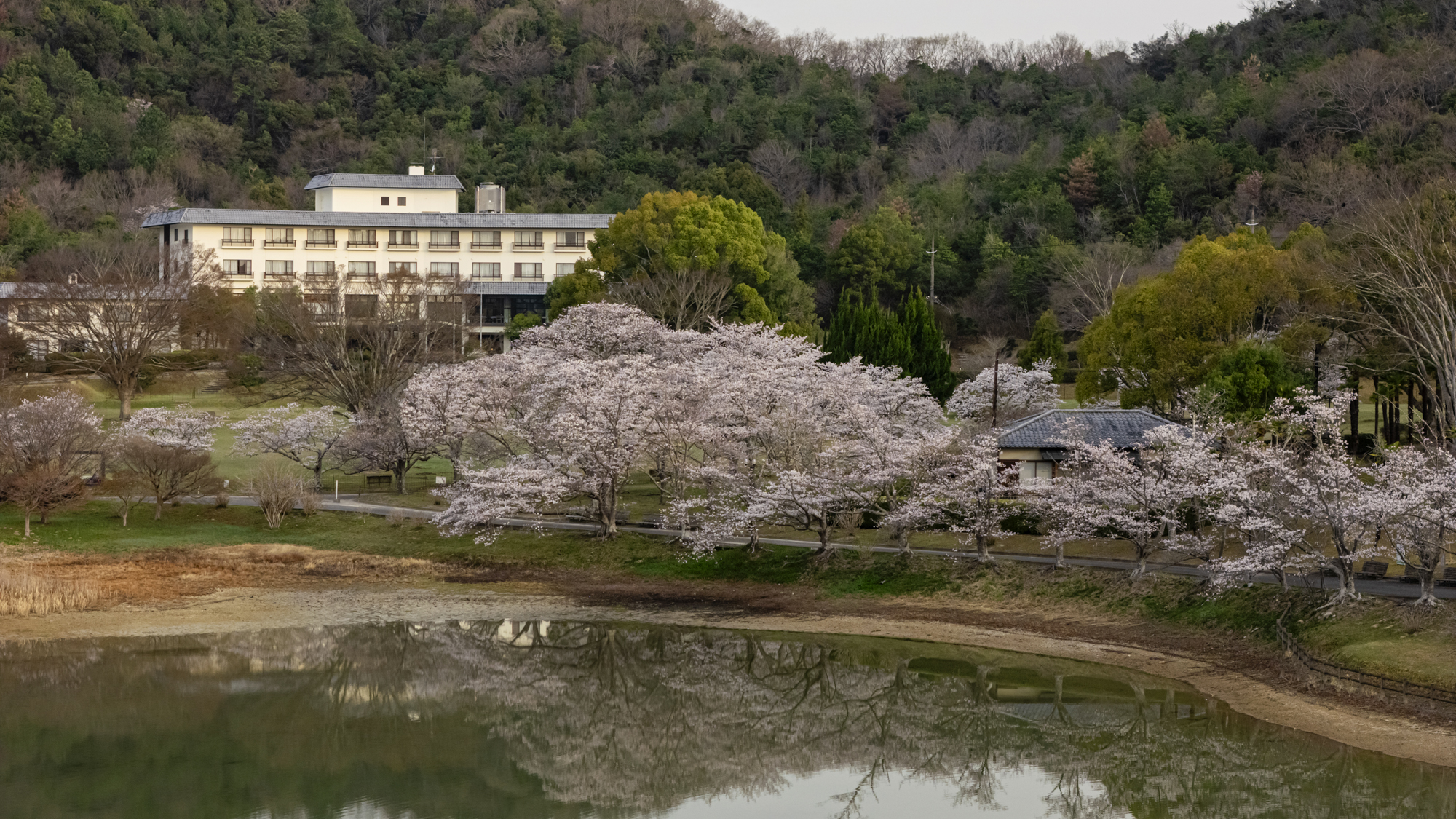 *【施設外観】池畔に佇む宿。季節ごとにいろんな風景が楽しめるのが魅力のひとつです。