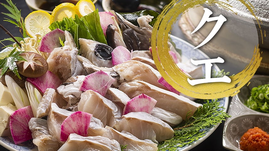 ■旬の高級魚■「クエ鍋」白身魚と思えぬ＜濃厚さ＞！出汁が染みわたるコラーゲンたっぷり