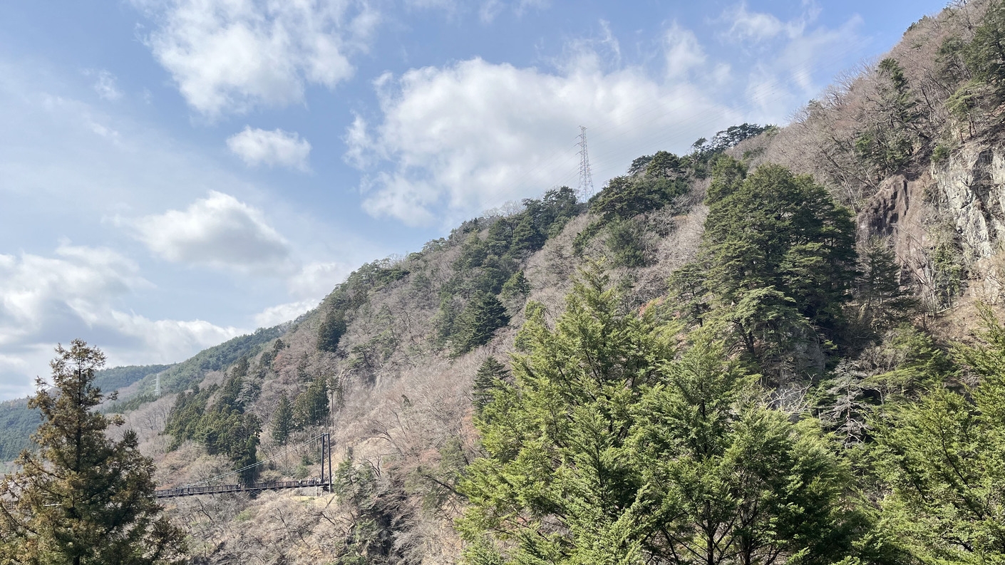 【渓谷側確約】鬼怒川渓谷の絶景を堪能！1泊2食付きバイキングプラン