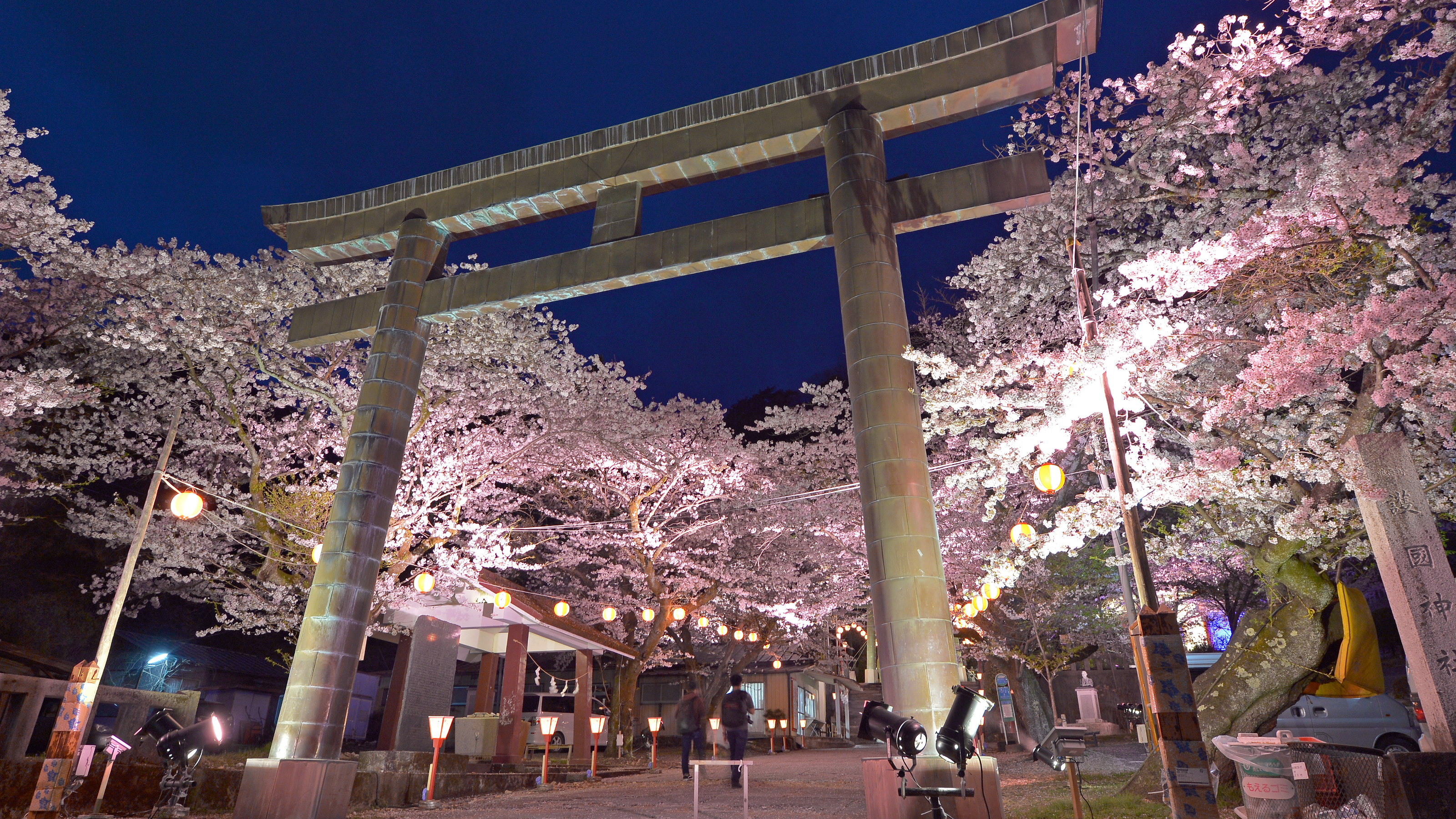 ●鬼怒川護国神社の桜