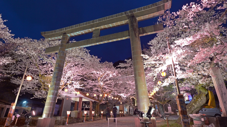 鬼怒川護国神社　夜桜ライトアップ