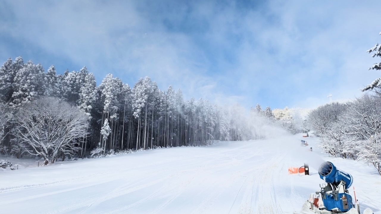 【10％OFF】【楽天スーパーSALE】リラクシアの森満喫プラン♪夕食は和洋折衷創作料理（2食付）