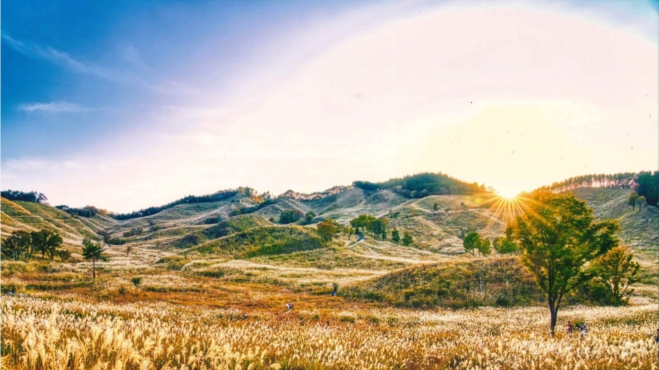 【秋冬SALE】リラクシアの森満喫プラン♪夕食は和洋折衷創作料理（2食付）