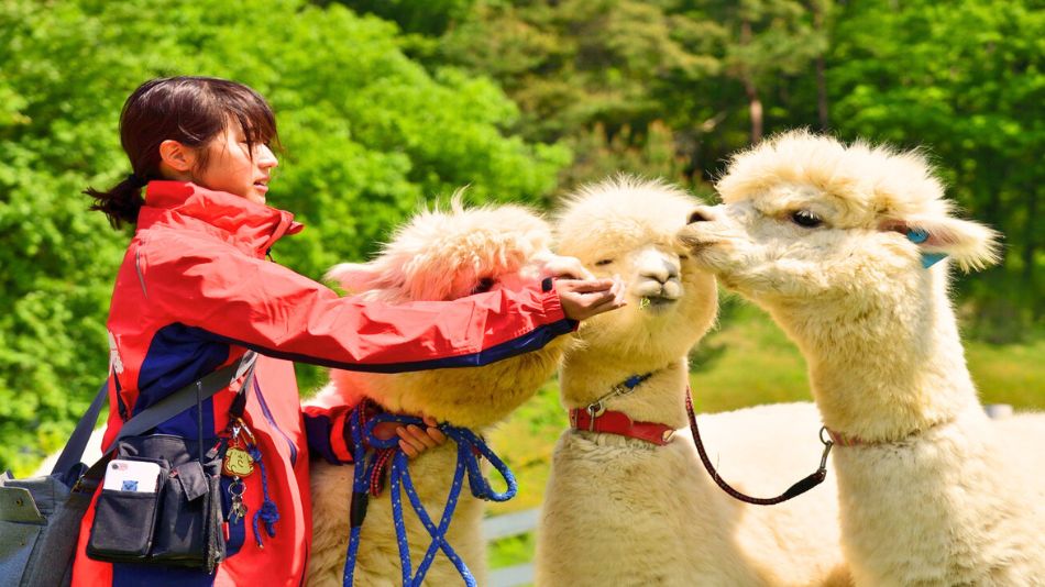 ヨーデルの森 入園券付きプラン