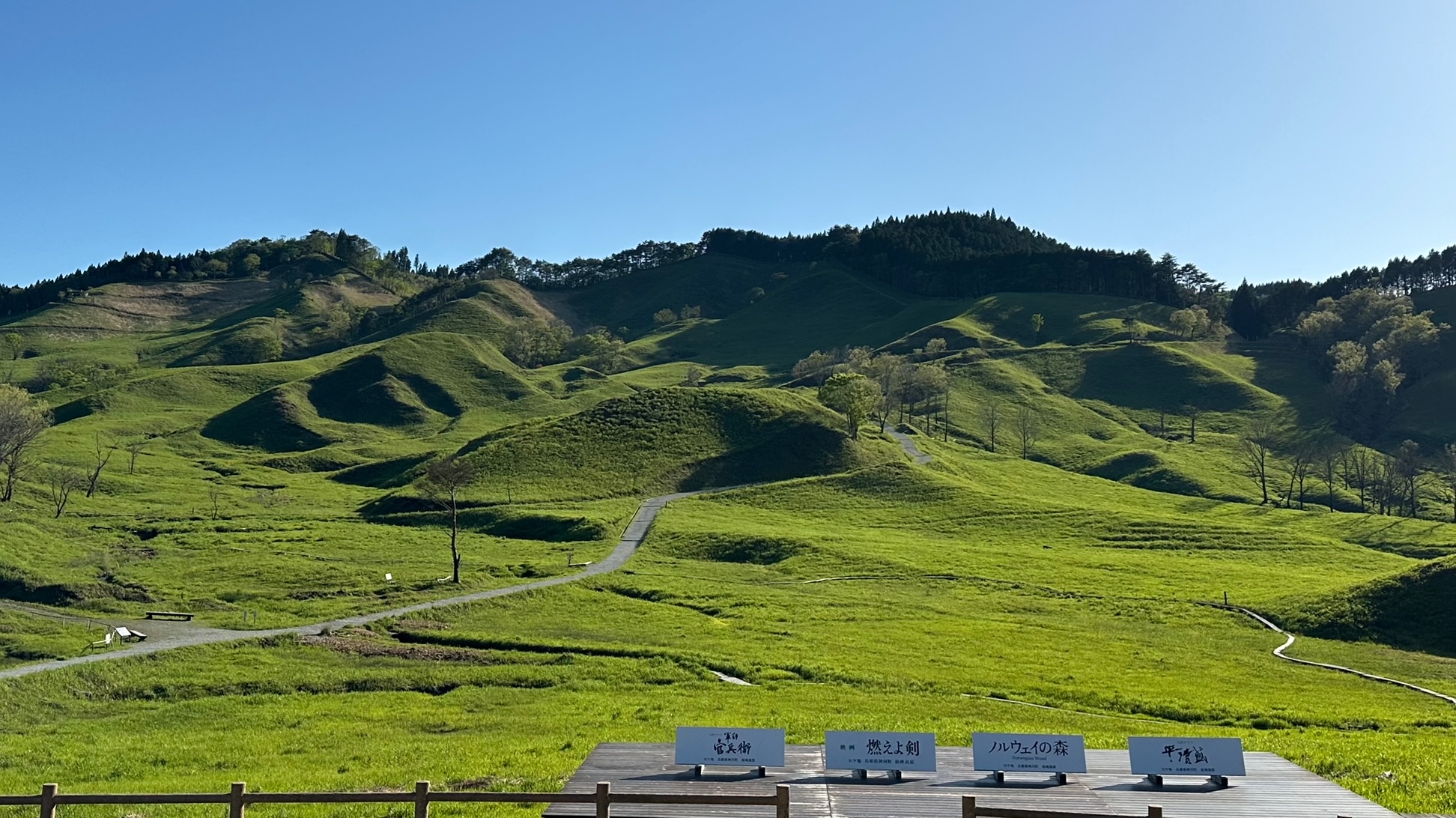 砥峰高原_グリーンシーズン