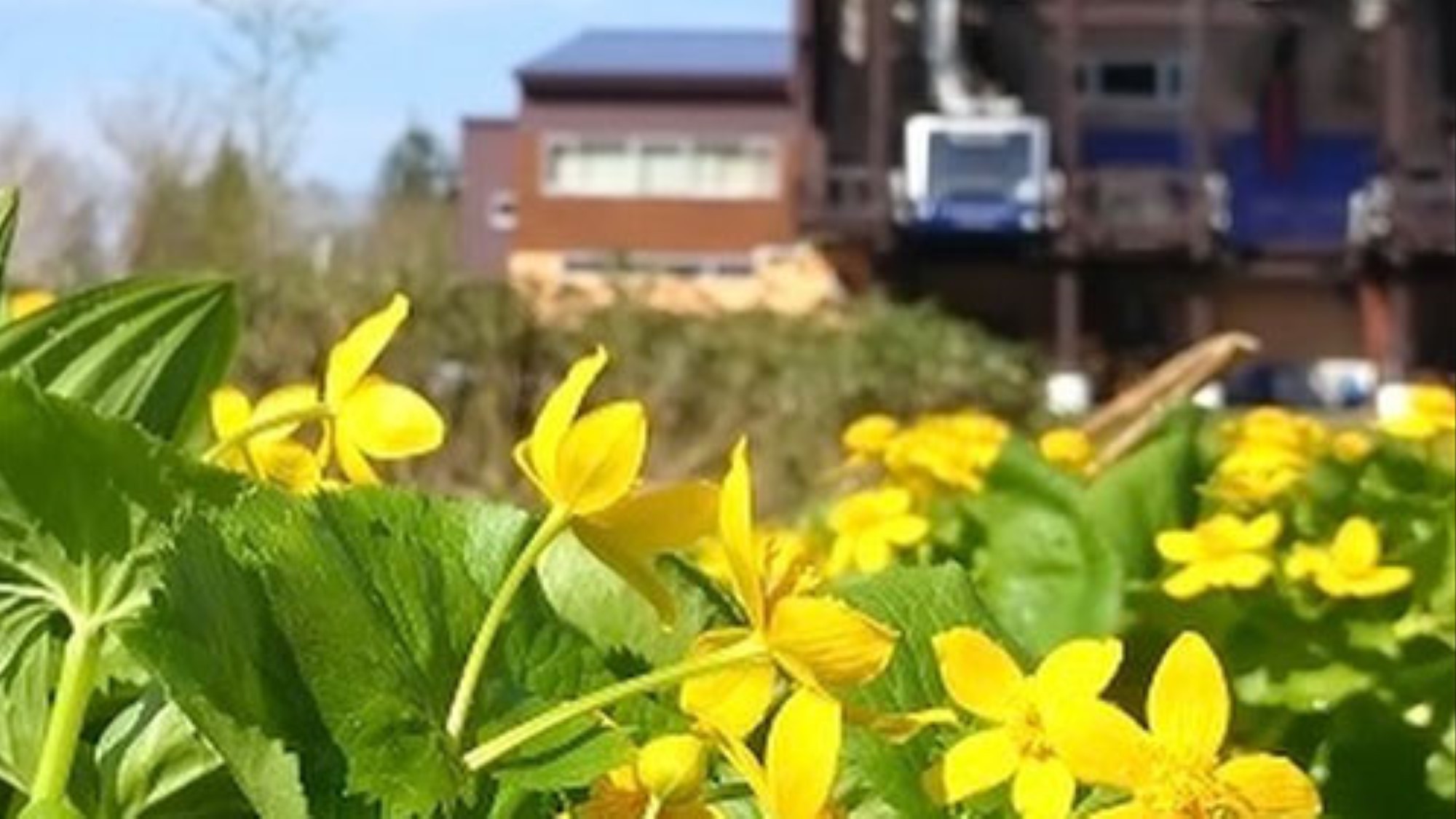 【春のトク旅】4-6月／旅行応援！2，200円割引キャンペーン＜室数限定＞4/1-6/19