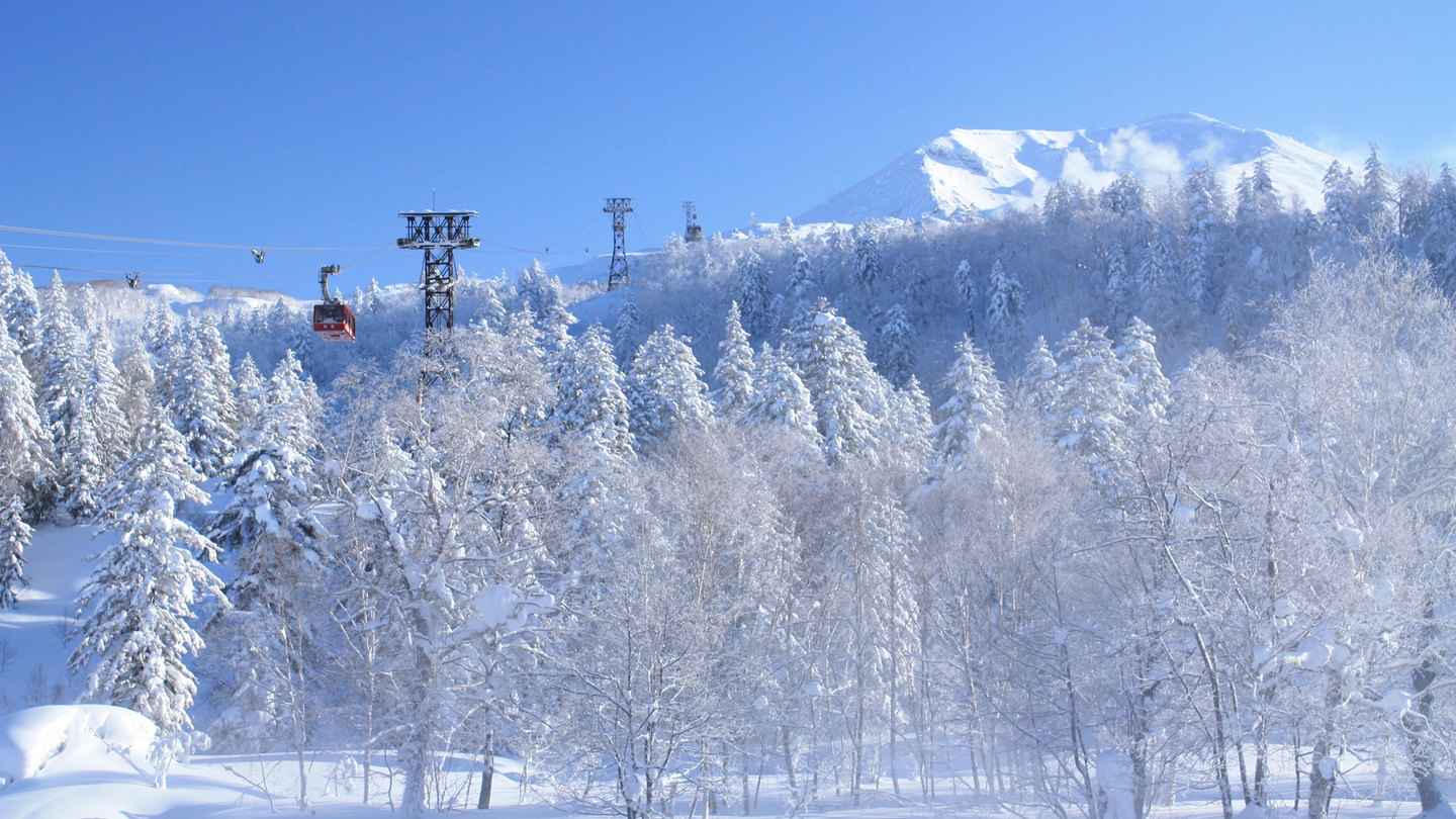 【旭岳ロープウェイ往復券付き】（12/11〜5/31）冬の旭岳！極上の雪と大パノラマ〜壮大な自然体験