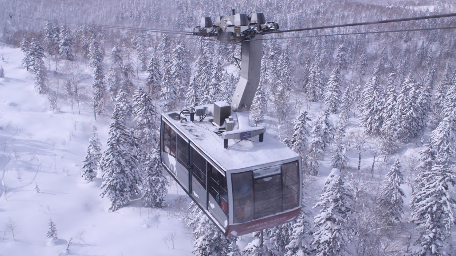 【旭岳ロープウェイ往復券付き】（12/11〜5/31）冬の旭岳！極上の雪と大パノラマ〜壮大な自然体験