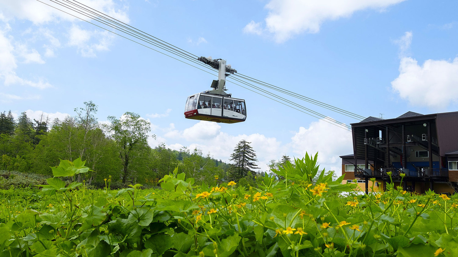 1泊夕食/早朝応援サービス付＆朝5〜7時セルフカフェオープン！* 6/20〜9/30まで *
