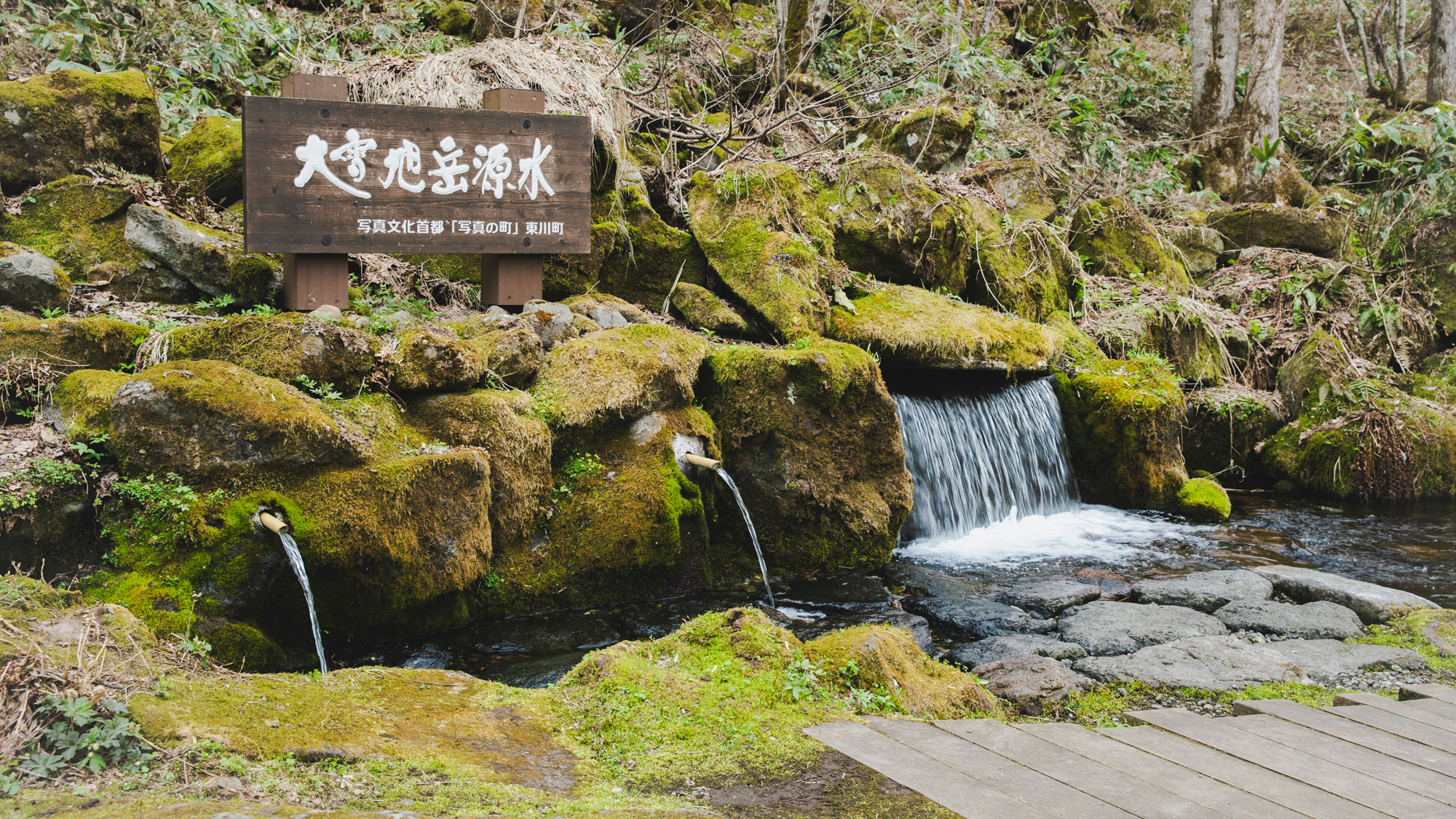 大雪旭岳源水公園「源水岩」の取水場で「平成の水100選」に選ばれた銘水を自由にくむことができます