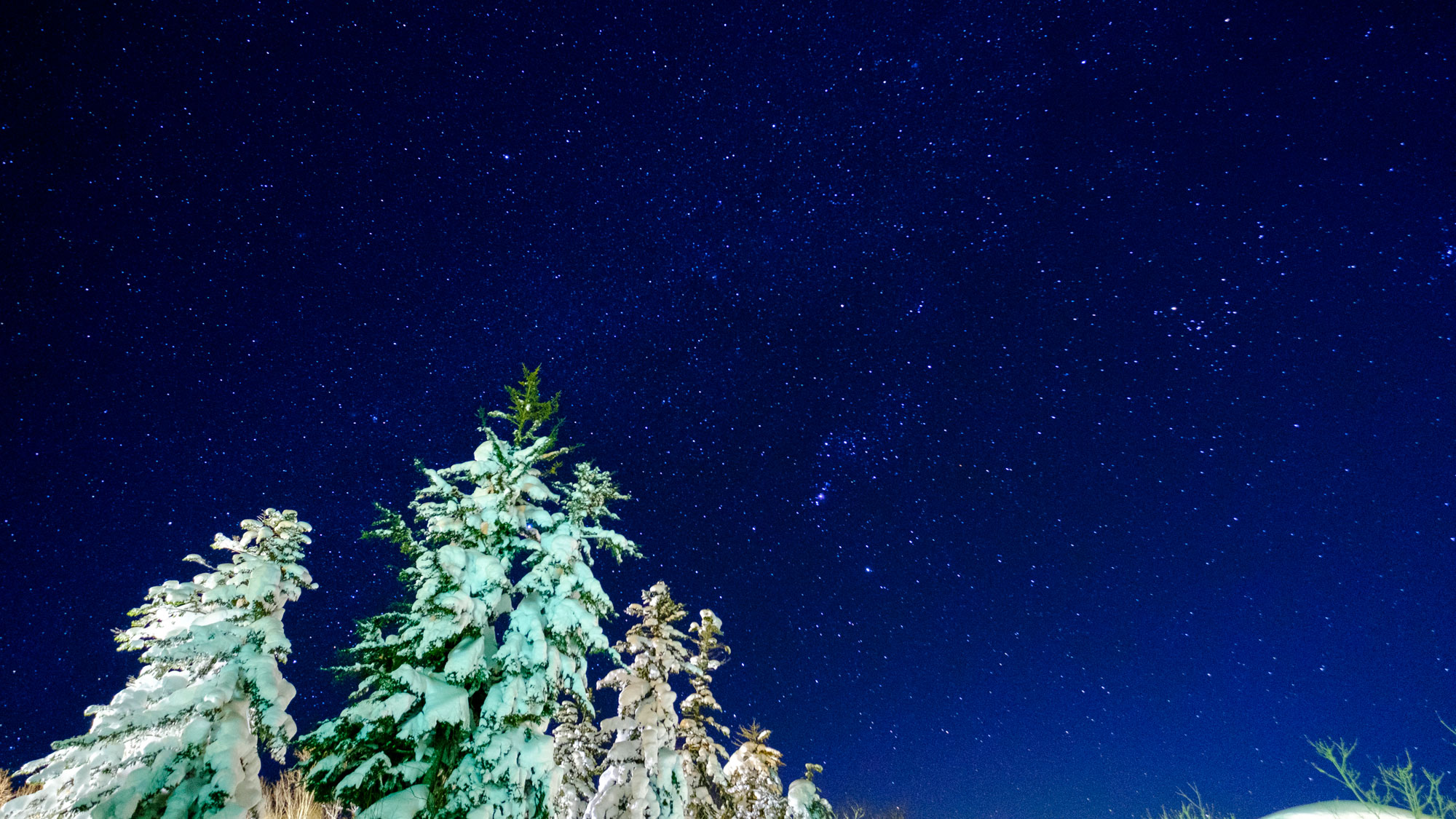 天の川や流れ星、ここでしか見られない星で埋め尽くす夜空は感動です