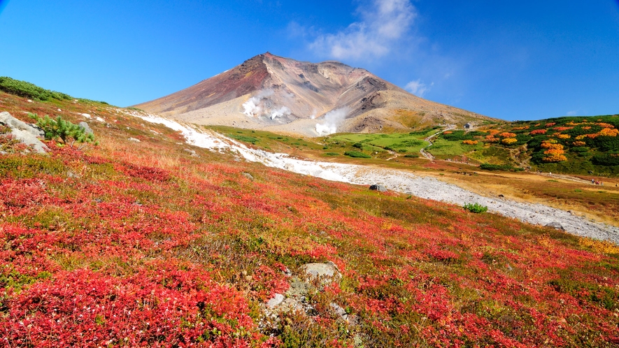  真っ赤なナナカマドや黄色いダケカンバが鮮やかに山肌を染めていきます