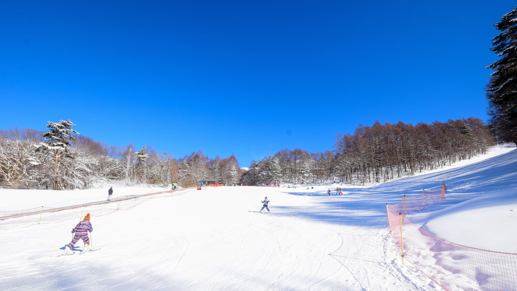 【蓼科東急スキー場】ゲレンデ