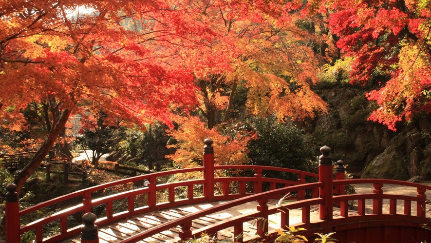 熱海梅園の紅葉