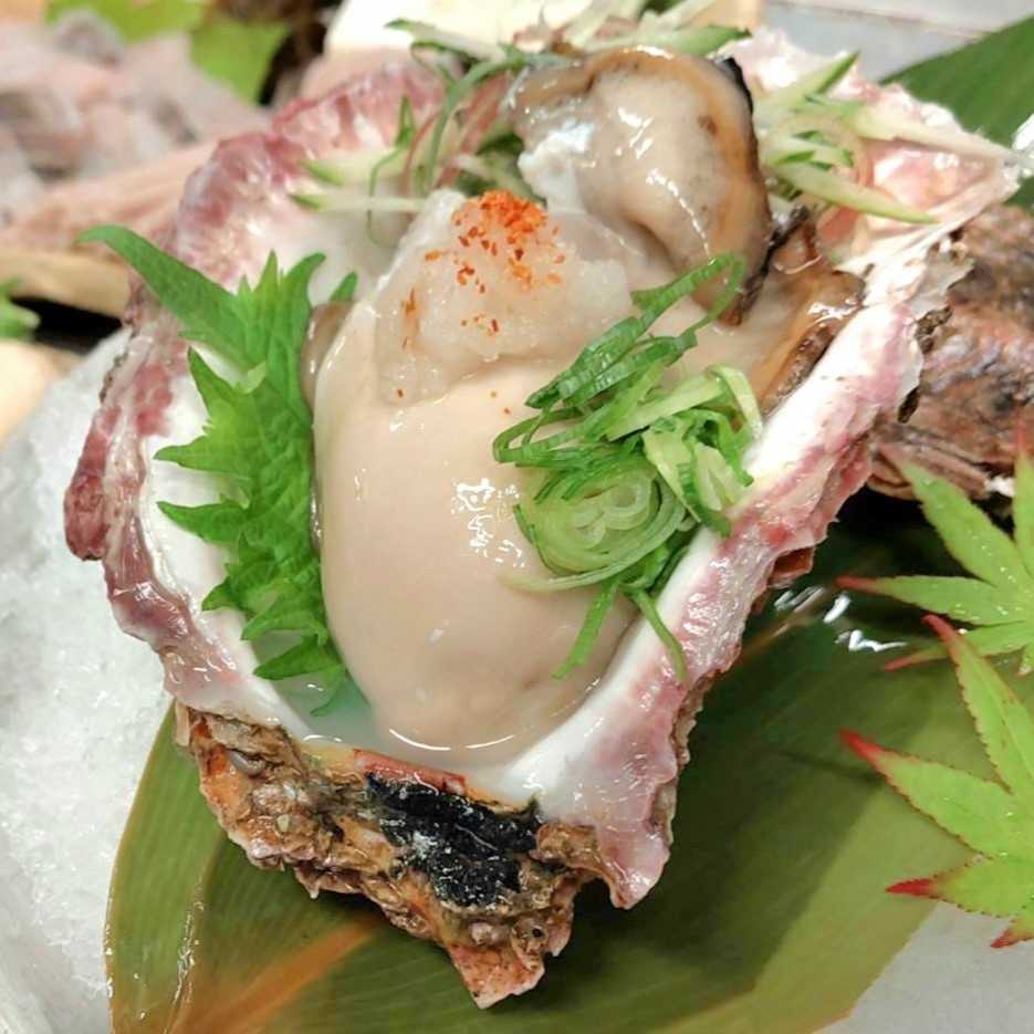 【新・春夏／豪華プラン】『岩牡蠣＆牛ステーキの競演の絶品プラン』☆旬の岩牡蠣◎板長自慢の創作料理で◎