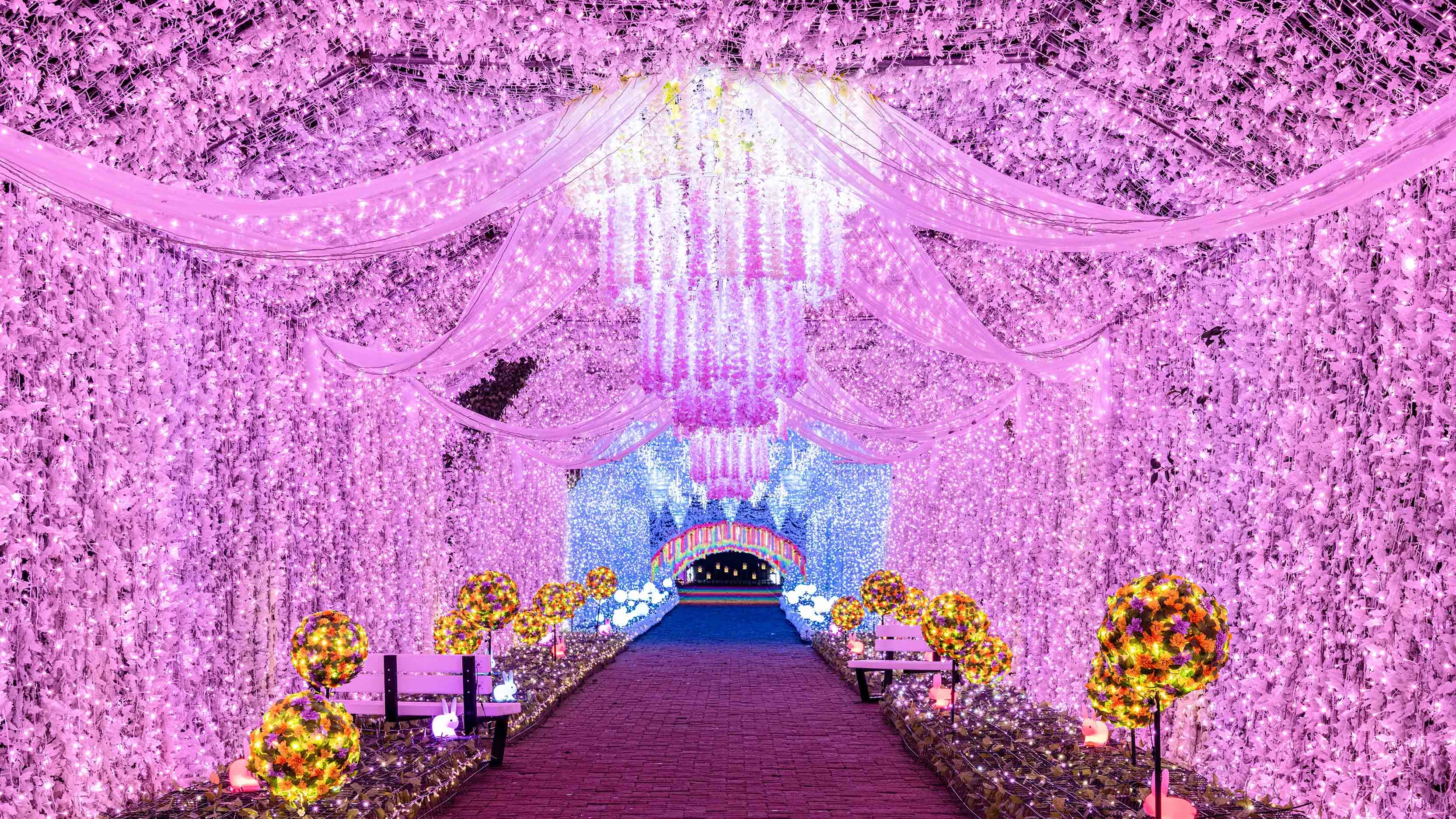 時之栖イルミネーション2025-2026「ひかりのすみか」