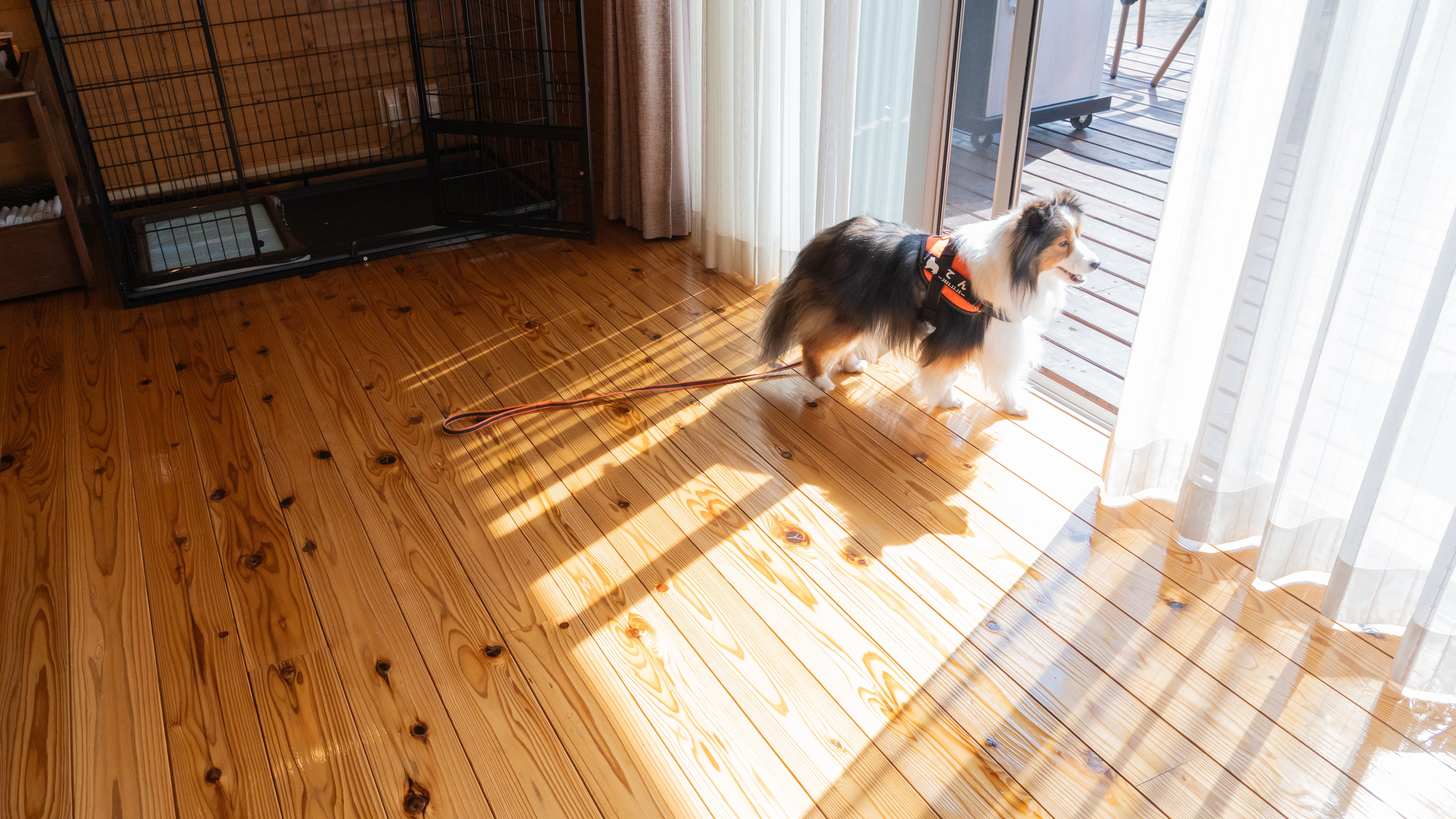 【愛犬と泊まれる】山羊の丘コテージ