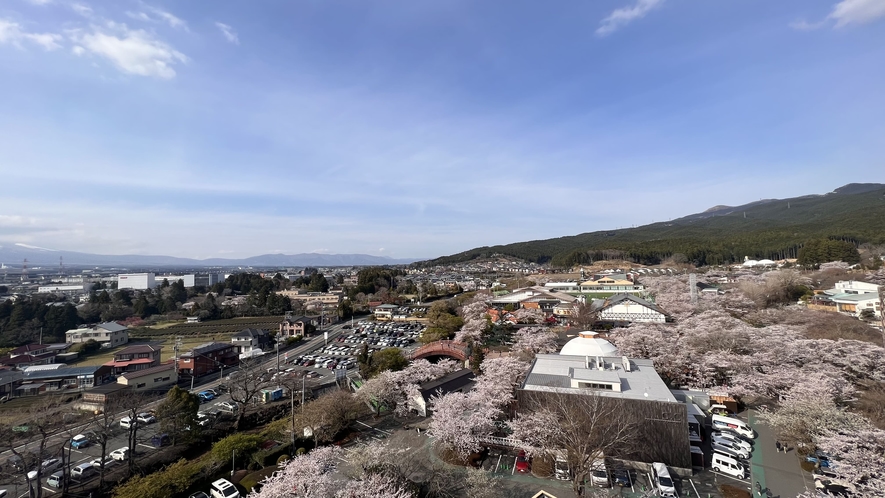 御殿場高原ホテルより４月桜の季節