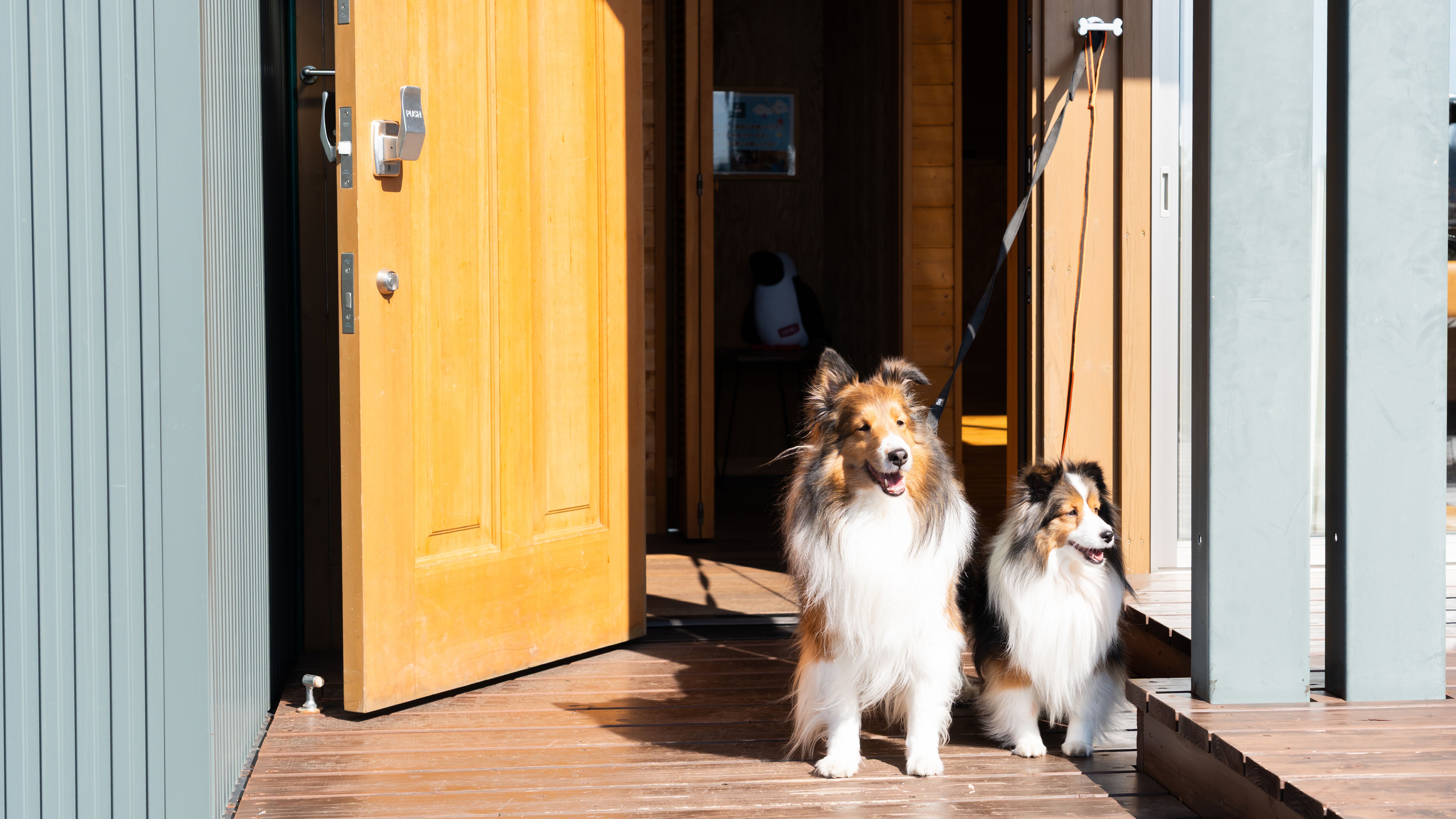 【愛犬と泊まれる】山羊の丘コテージ