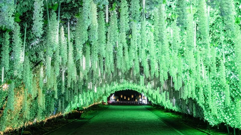 時之栖イルミネーション2025-2026「ひかりのすみか」